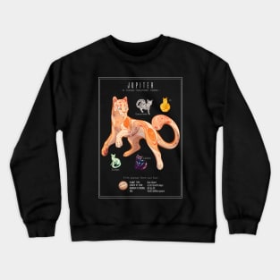 Jupiter & Moons Crewneck Sweatshirt